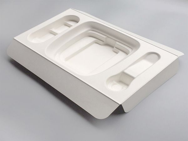 Pulp insert